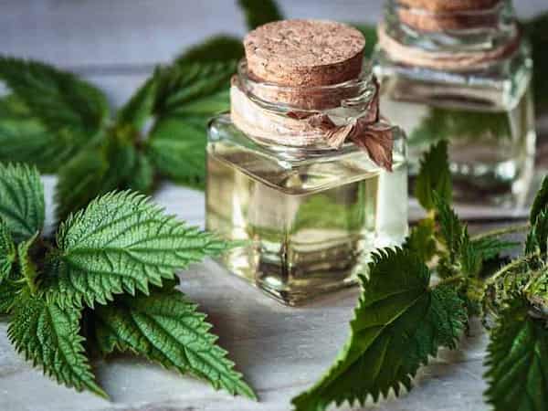 تصویر 1 از فروش عرق گزنه اصل + قیمت خرید به صرفه